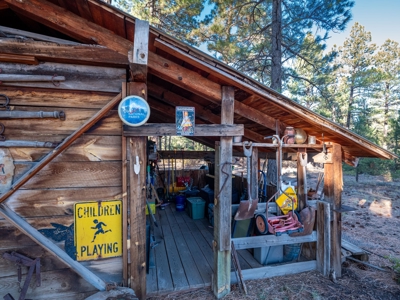 Secluded Mountain Cabin In The Pines - image 8