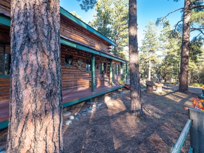 Secluded Mountain Cabin In The Pines - image 7