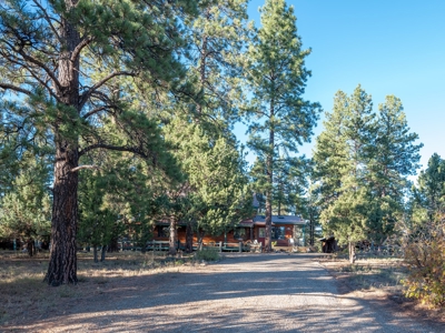 Secluded Mountain Cabin In The Pines - image 15