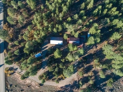 Secluded Mountain Cabin In The Pines - image 9