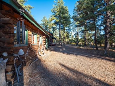 Secluded Mountain Cabin In The Pines - image 12