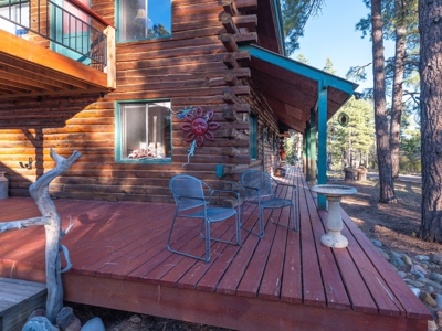 Secluded Mountain Cabin In The Pines - image 20