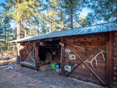 Secluded Mountain Cabin In The Pines - image 16