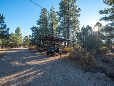 Secluded Mountain Cabin In The Pines - image 6