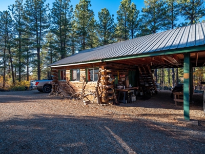 Secluded Mountain Cabin In The Pines - image 2