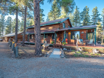 Secluded Mountain Cabin In The Pines - image 17