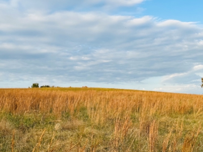 Land For Sale In Izard County Arkansas! - image 9