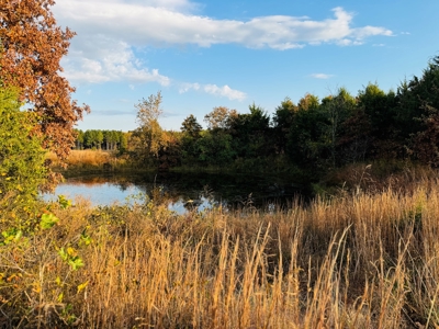 Land For Sale In Izard County Arkansas! - image 7