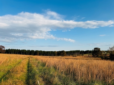 Land For Sale In Izard County Arkansas! - image 3