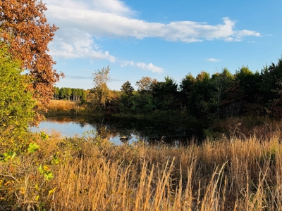 Land For Sale In Izard County Arkansas! - image 6