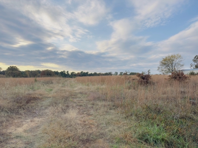 Land For Sale In Izard County Arkansas! - image 12