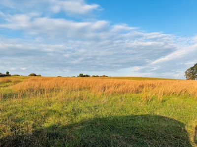 Land For Sale In Izard County Arkansas! - image 5