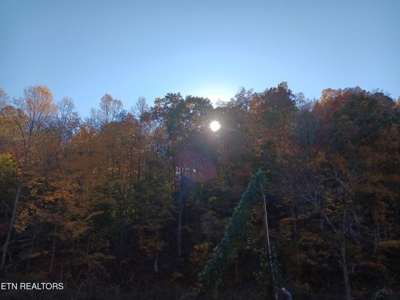 78.26 Vacant Acreage with Well and Spring Hawkins County, TN - image 15