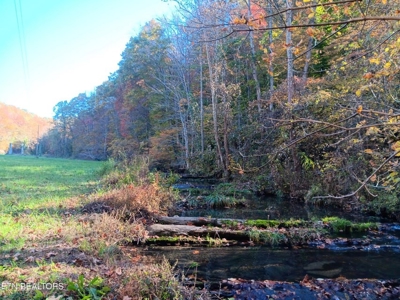 78.26 Vacant Acreage with Well and Spring Hawkins County, TN - image 4