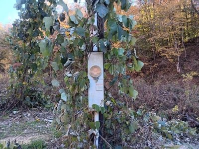 78.26 Vacant Acreage with Well and Spring Hawkins County, TN - image 10