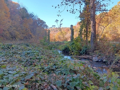 78.26 Vacant Acreage with Well and Spring Hawkins County, TN - image 34