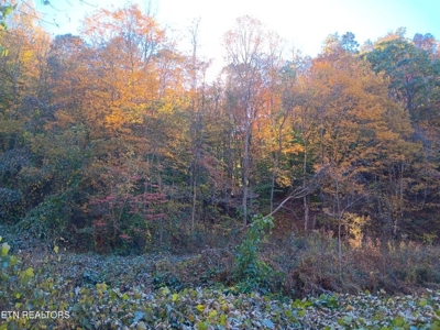 78.26 Vacant Acreage with Well and Spring Hawkins County, TN - image 18