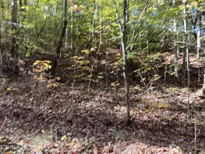 78.26 Vacant Acreage with Well and Spring Hawkins County, TN - image 20