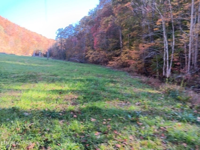 78.26 Vacant Acreage with Well and Spring Hawkins County, TN - image 6