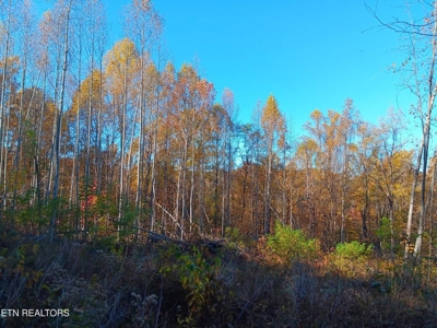 78.26 Vacant Acreage with Well and Spring Hawkins County, TN - image 24
