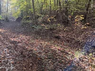 78.26 Vacant Acreage with Well and Spring Hawkins County, TN - image 21