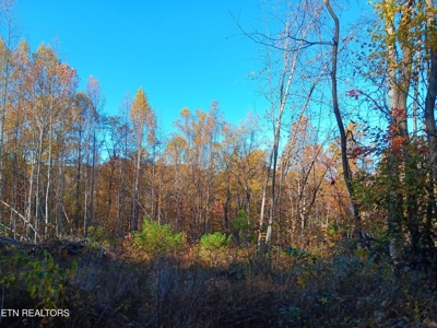 78.26 Vacant Acreage with Well and Spring Hawkins County, TN - image 25