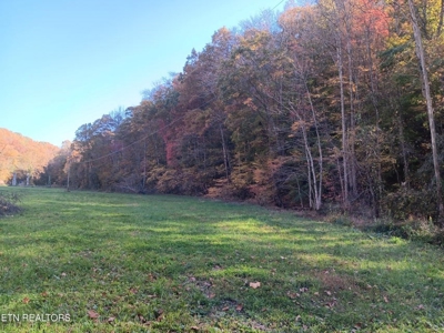 78.26 Vacant Acreage with Well and Spring Hawkins County, TN - image 5