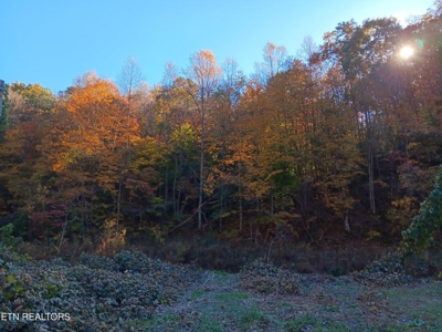 78.26 Vacant Acreage with Well and Spring Hawkins County, TN - image 14