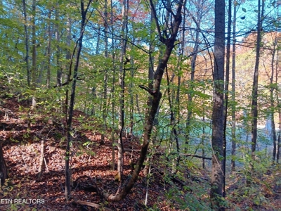 78.26 Vacant Acreage with Well and Spring Hawkins County, TN - image 19