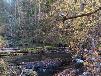 78.26 Vacant Acreage with Well and Spring Hawkins County, TN - image 3