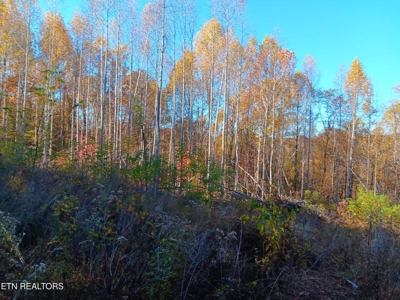 78.26 Vacant Acreage with Well and Spring Hawkins County, TN - image 23