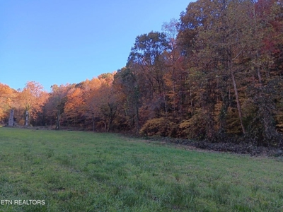 78.26 Vacant Acreage with Well and Spring Hawkins County, TN - image 9