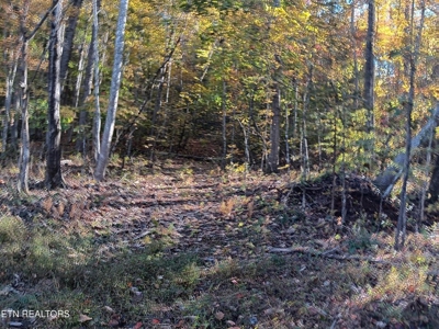 78.26 Vacant Acreage with Well and Spring Hawkins County, TN - image 29