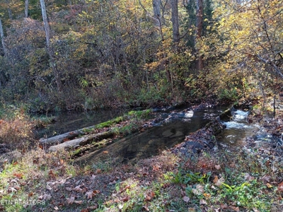 78.26 Vacant Acreage with Well and Spring Hawkins County, TN - image 1