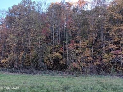 78.26 Vacant Acreage with Well and Spring Hawkins County, TN - image 7