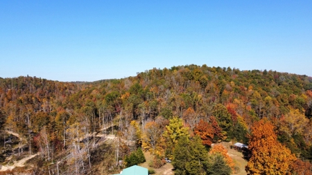 Country Home for Sale in Lewis County, Tennessee - image 50