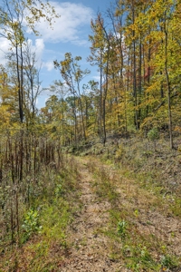 Country Home for Sale in Lewis County, Tennessee - image 45