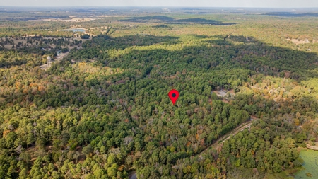 8.32 Acres In Horseshoe Bend Winnsboro Wood County Texas - image 6