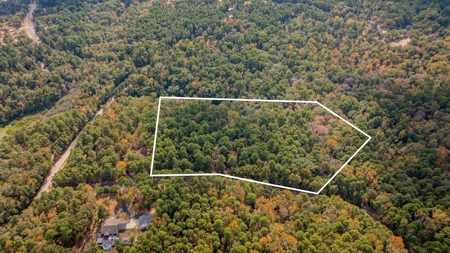 8.32 Acres In Horseshoe Bend Winnsboro Wood County Texas - image 4