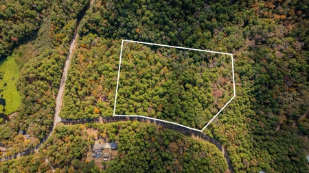 8.32 Acres In Horseshoe Bend Winnsboro Wood County Texas - image 2