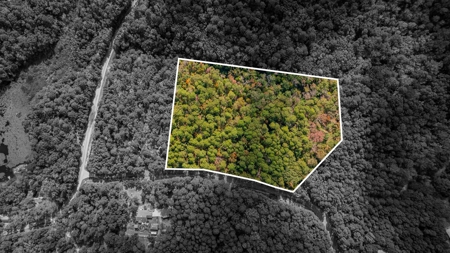 8.32 Acres In Horseshoe Bend Winnsboro Wood County Texas - image 3