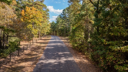 8.32 Acres In Horseshoe Bend Winnsboro Wood County Texas - image 17