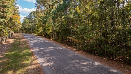 8.32 Acres In Horseshoe Bend Winnsboro Wood County Texas - image 14