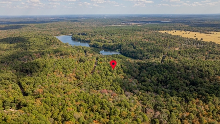 8.32 Acres In Horseshoe Bend Winnsboro Wood County Texas - image 7