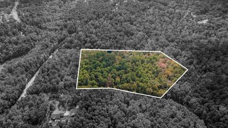 8.32 Acres In Horseshoe Bend Winnsboro Wood County Texas - image 5