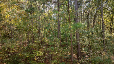 8.32 Acres In Horseshoe Bend Winnsboro Wood County Texas - image 16