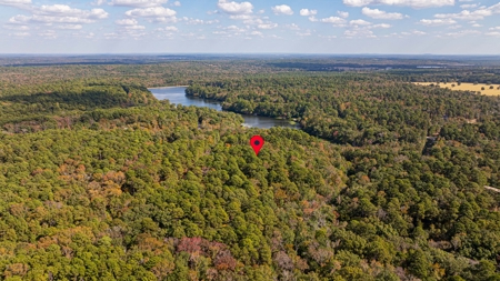 8.32 Acres In Horseshoe Bend Winnsboro Wood County Texas - image 10