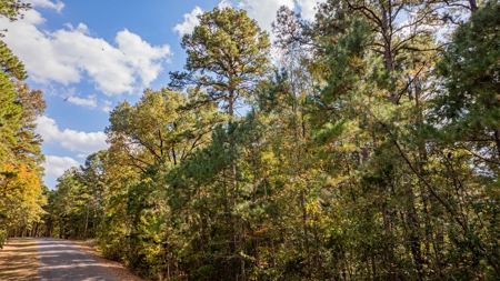 8.32 Acres In Horseshoe Bend Winnsboro Wood County Texas - image 15