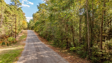 8.32 Acres In Horseshoe Bend Winnsboro Wood County Texas - image 1