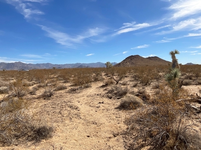 Yucca AZ Land with No HOA and close to BLM - image 5